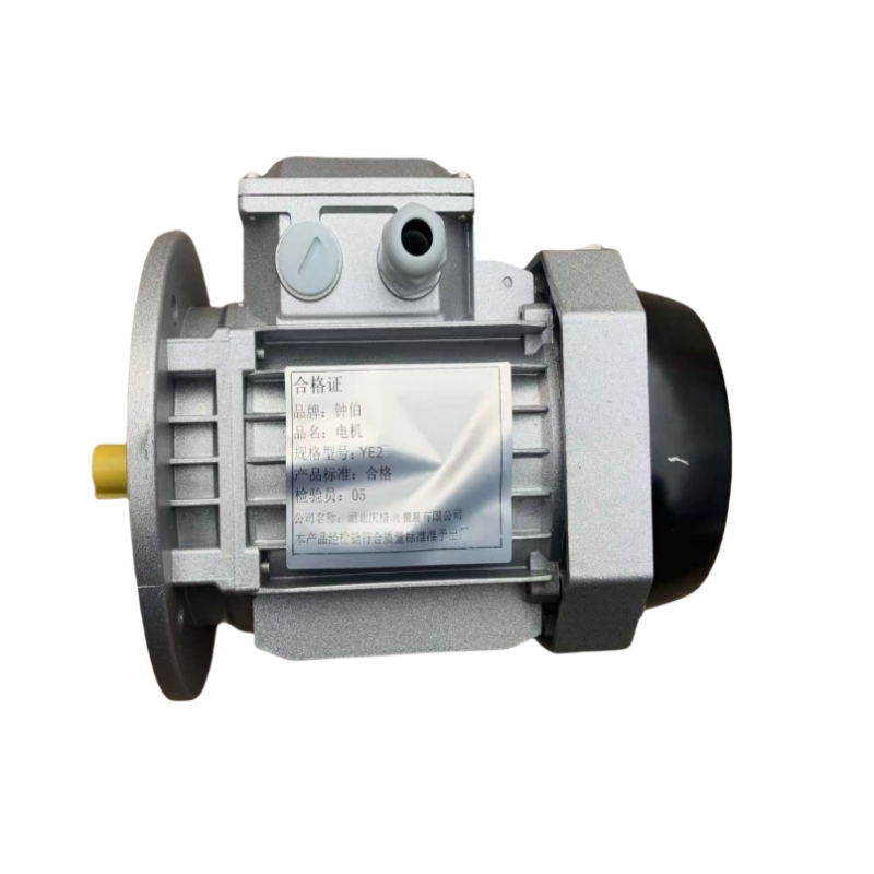 钟伯 电机 YE2 台高清大图