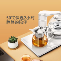 SEKO/新功F148 全自动上水玻璃电热水壶黑茶煮茶器保温家用电茶炉