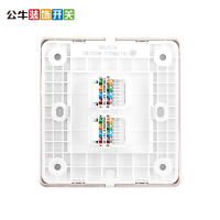 公牛(BULL)双网线插座二位墙壁86型宽带信息双电脑网络插座双网口网络面板G18T222 玫瑰金