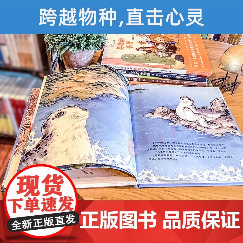 非常动物故事绘本·海豹恩仇录 张炜 文 李尧 图 儿童文学 2022暑假读一本好书精选 中小学生课外阅读书籍 安徽少年儿高清大图