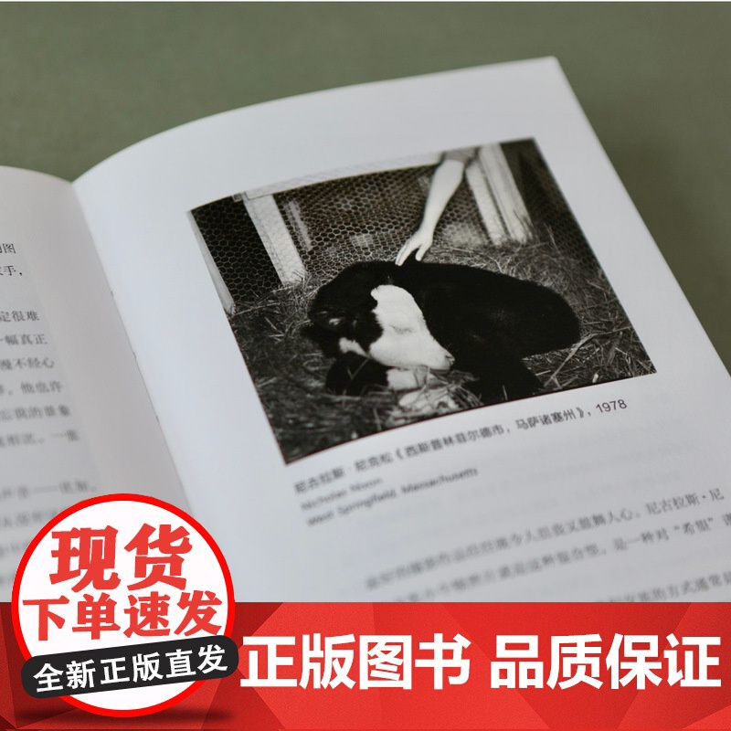 [央视网]穿过尘世闪耀的光 艺术的发生 Art Can Help 罗伯特 亚当斯 人文 艺术 社会和自然的摄影艺术评论高清大图