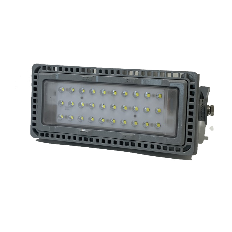 LHDQ 领航电器 LHF2390 LED投光灯 50W 220V 冷光6000K IP65 (计价单位:个)高清大图