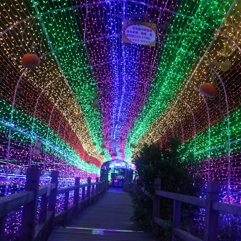 苏宁放心购 led彩灯串 满天星闪光灯 节日婚庆串灯 防水户外装饰灯 过年七彩手工灯带广场活动装饰高清大图