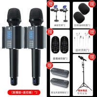 屁颠虫(Hifier)无线话筒音响一体麦克风全民K歌手机抖音直播套装儿童电视家庭KTV唱歌带U段G20直播版双麦版