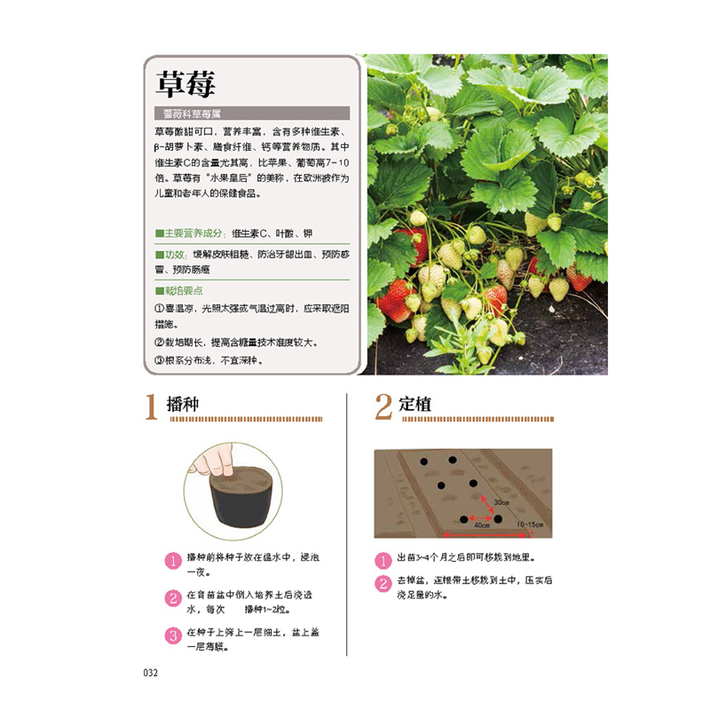 [正版]手把手教你种蔬菜 种菜栽培实用手册蔬菜种植技术私家菜园宝典书高清大图