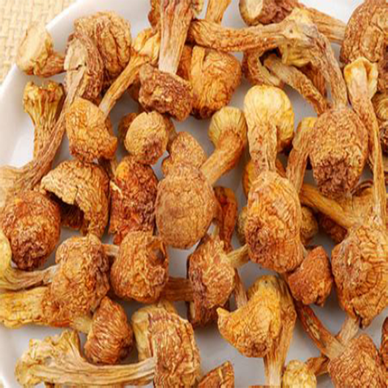 兵团缘东北野生松茸250g 农户自采 自然晾干高清大图