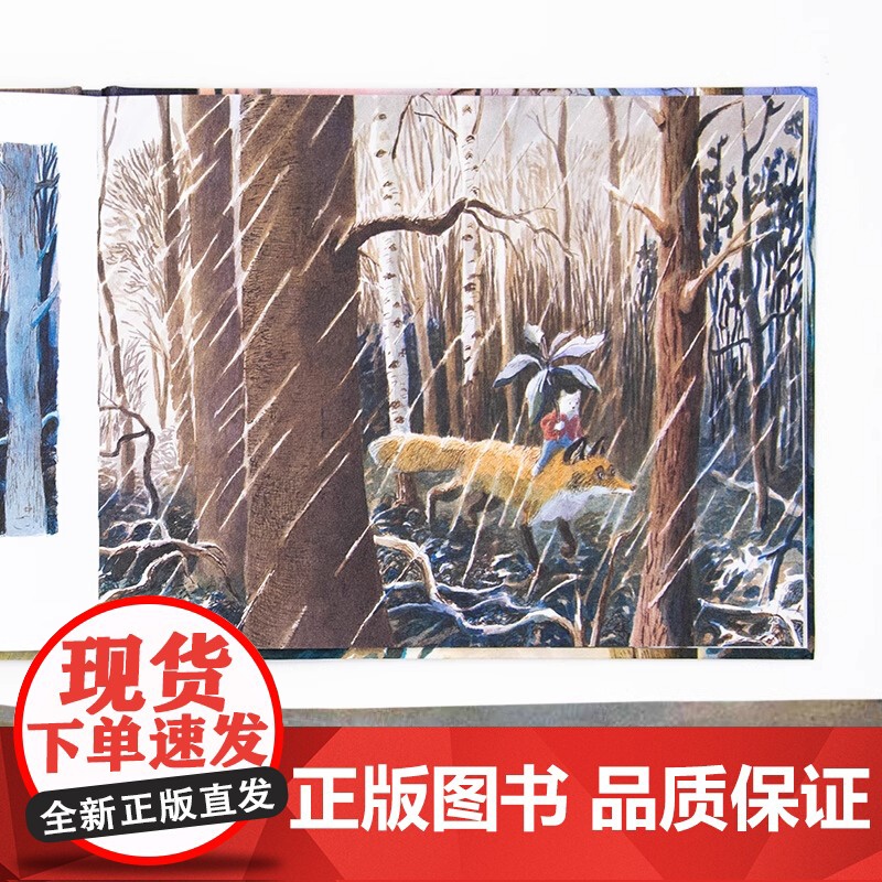 小熊尼诺精装硬壳绘本图画书适合3-6岁幼儿读物睡前故事书亲子阅读青豆书坊正版童书高清大图