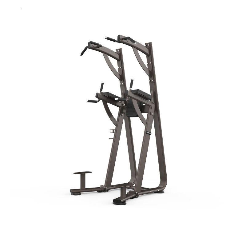 舒华健身器材健身房器械 单双杠及提腿腹肌组合练习器 SH-G8888单位:台