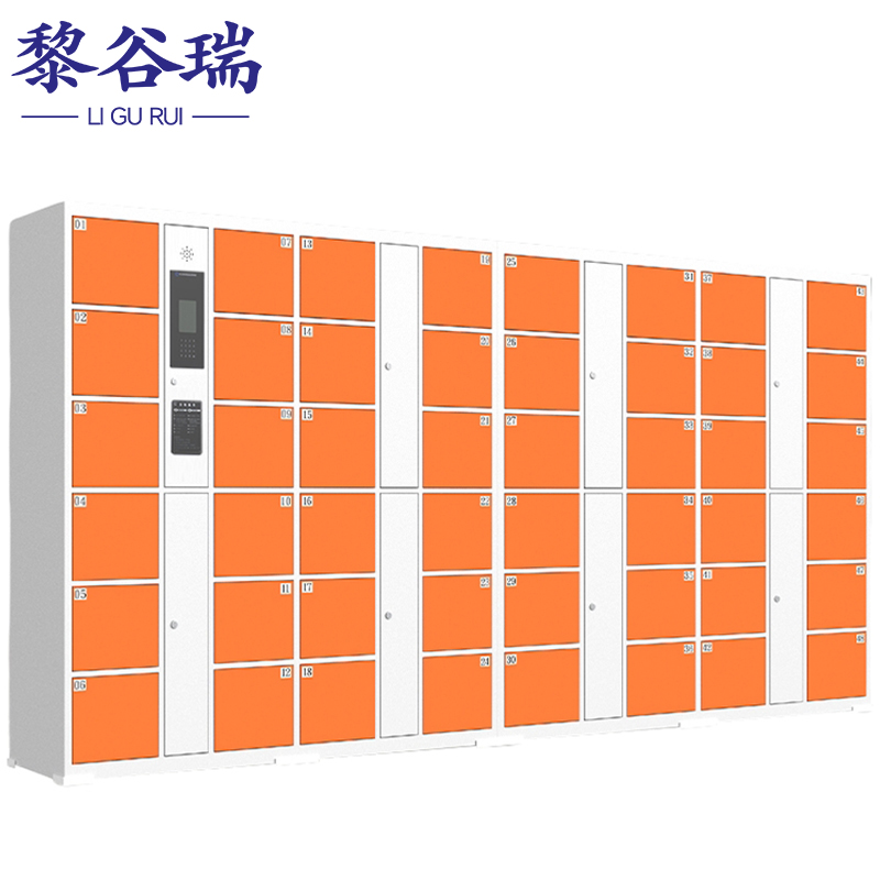 黎谷瑞智能寄存柜 智能寄存柜48门人脸识别台