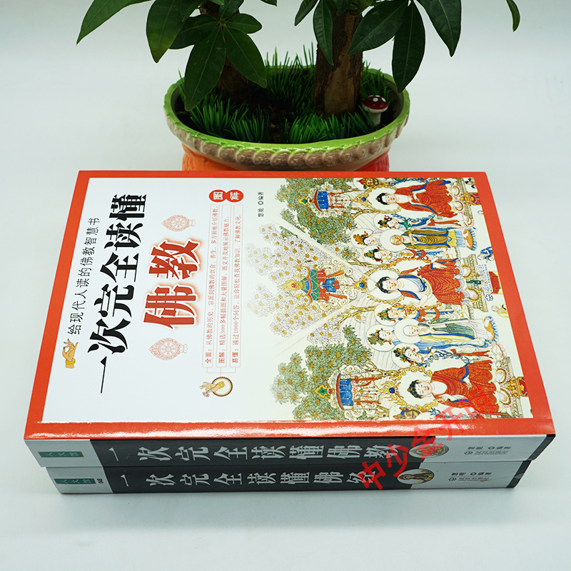 全套2本 佛学书籍图解一次完全读懂佛经书籍 美绘版文白对照插图本佛法书籍经典佛学讲解宗教佛陀传学佛入门基础知识高清大图