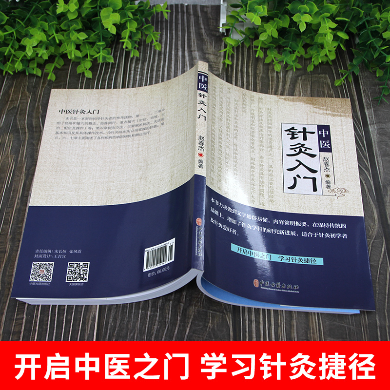 [正版]中医针灸入门自学大全针灸大成医书艾灸经络穴位彩图从零开始学图本功穴位按压刺血疗法全真图解董氏正经奇穴实用手册奇