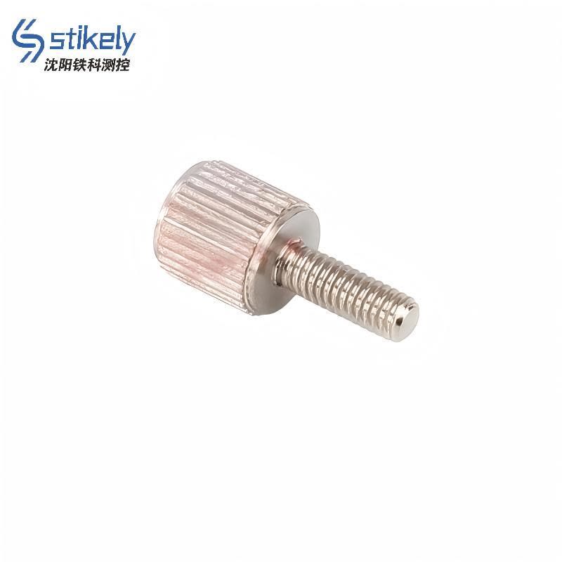 Stikely 游标卡尺固定螺丝M2×6mm/个图片