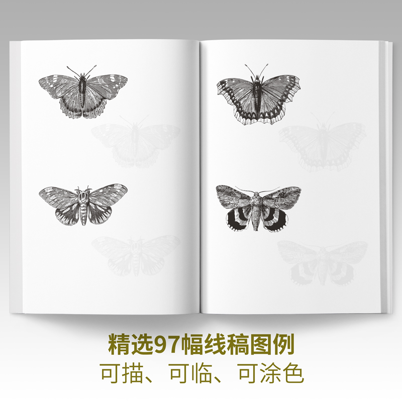 [醉染正版]手绘昆虫线稿描摹本儿童控笔训练线描创意绘画画创作瓢虫蜜蜂蝴蝶蜻蜓美术培训班入门兴趣学艺术素描书画册技法临摹草高清大图