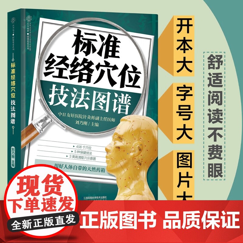 标准经络穴位技法图谱 汉竹 刘乃刚 著 医学高清大图