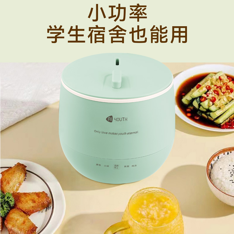 艾青春(AIYOUth)迷你电饭锅 WT-16E 1.6L高清大图