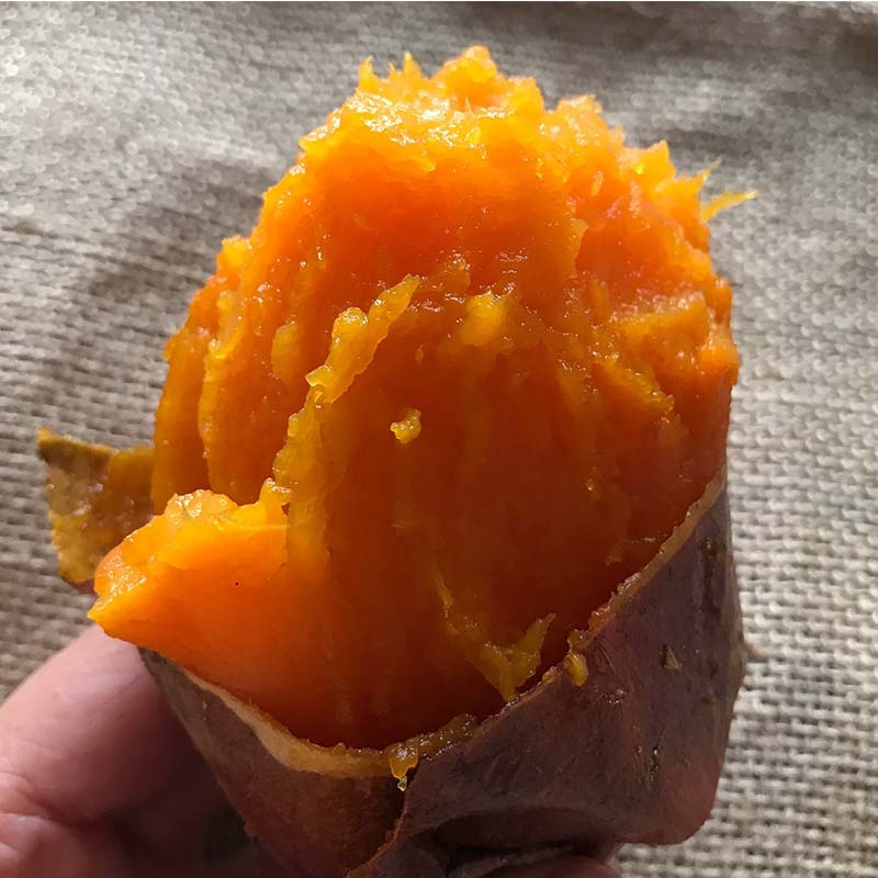 5000g山东沙地黄瓤红糖心烟蜜薯山芋番薯红薯新鲜地瓜