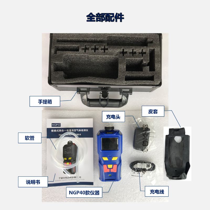 NGPG 二氧化硫气体检测仪 NGP40-SO2（烟气）