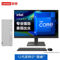 联想(Lenovo)天逸510PRO 12代酷睿 I5/16G/256G SSD/2G独显/WIFI/蓝牙/21.45英寸/定制 台式机 台式机电脑 台式办公商务