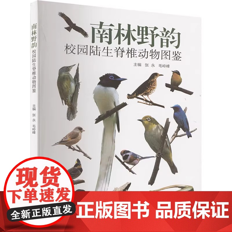 南林野韵 校园陆生脊椎动物图鉴生物科学专业科技中国科学技术大学出版社9787312062186