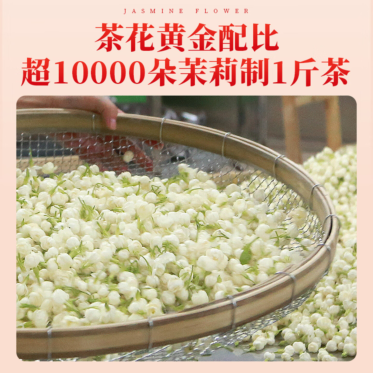 艺福堂茉莉杭红100g/罐高清大图