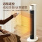 美的(Midea)取暖器家用暖风机电暖气片塔式速热冷暖两用浴室卧室客厅烤火炉遥控款 [遥控款]HFU22CR