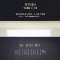 郁金香智能电动升降晾衣架阳台多功能风干晾衣机