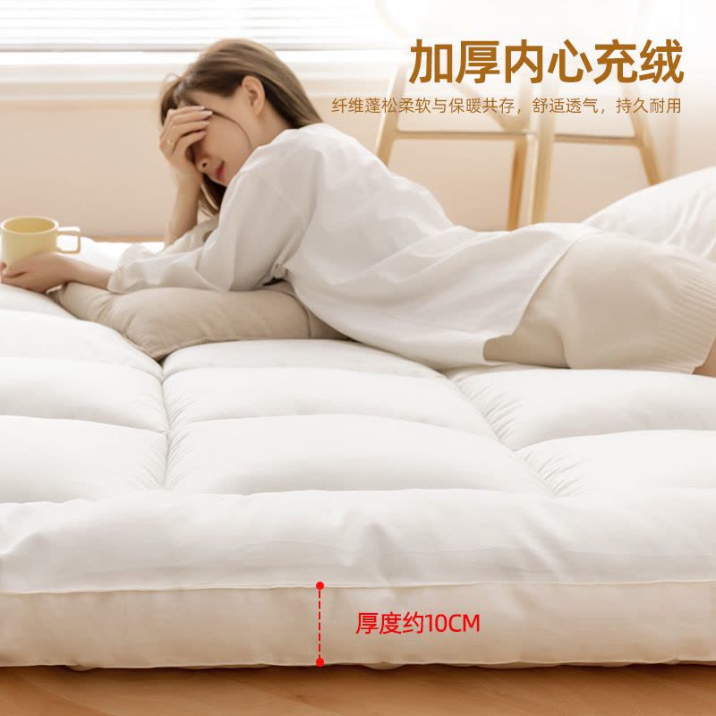 加厚床垫家用软垫榻榻米垫子单人垫褥租房垫被冬季图片