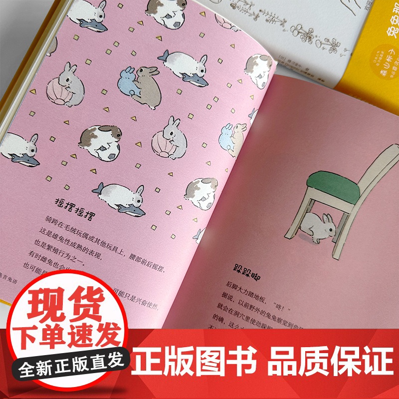 兔言兔语 可爱即正义 人气兔子插画师森山标子作品,软萌兔兔治愈你的每一天治愈系漫画绘本正版牡蛎的壳是大人的心脏高清大图