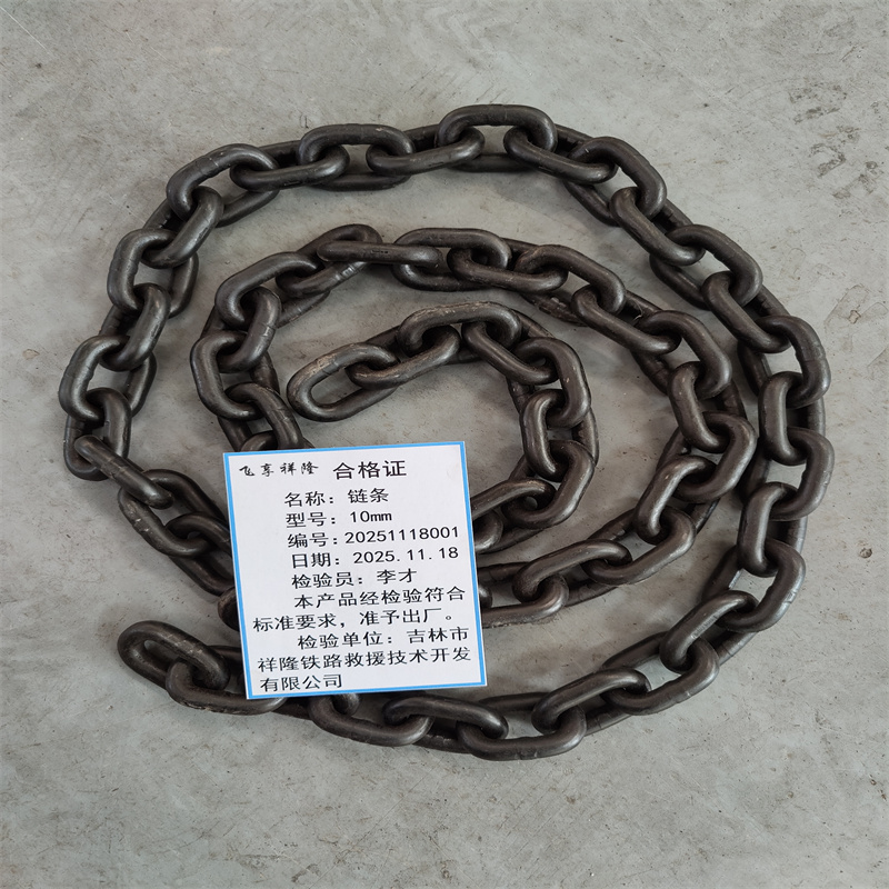 飞享祥隆 链条(10mm)米高清大图