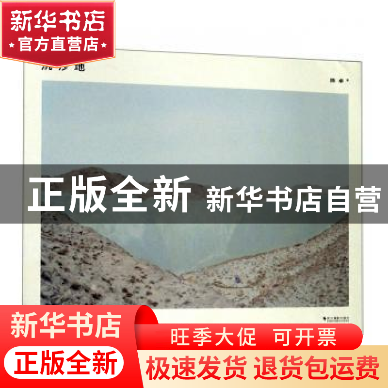 正版 沉沙地 陈卓 浙江摄影出版社 9787551425353 书籍