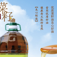 【中华特色】石家庄馆 龙仓 非转基因压榨菜籽油5L 华北