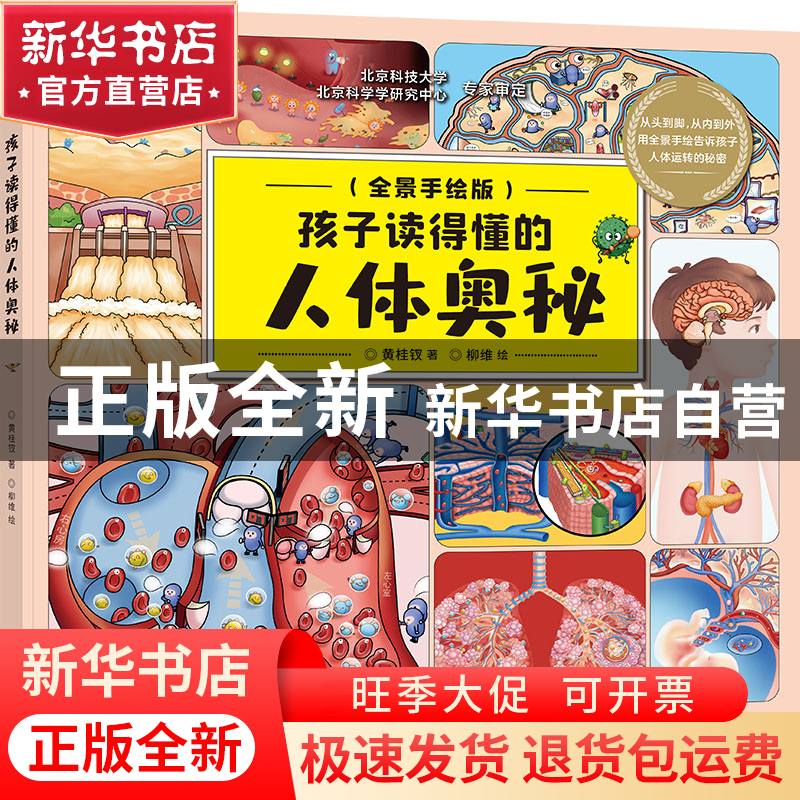 正版 孩子读得懂的人体奥秘:全景手绘版 黄桂钗著 北京理工大学