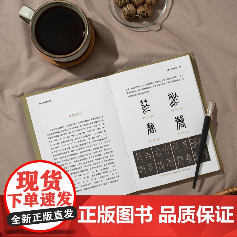 「汉字密码」中国文字常识解密 200幅精美配图 100余幅古文字示例 甲骨文到简化的演变史 正版书籍高清大图
