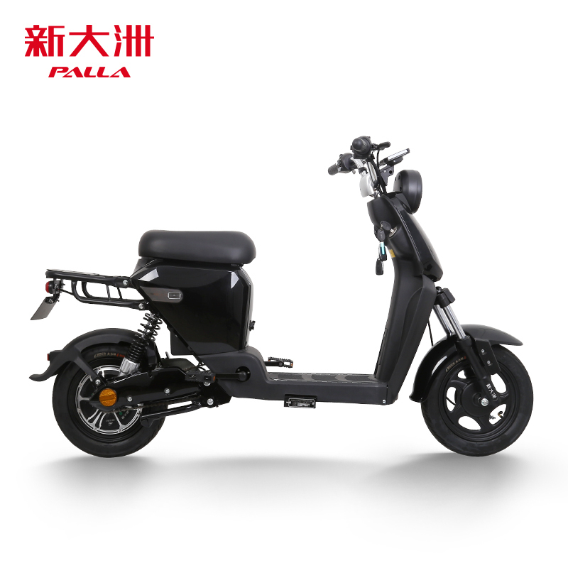 新大洲电动车 PALLA新国标电瓶车48V14AH锂电池电动自行车 B2