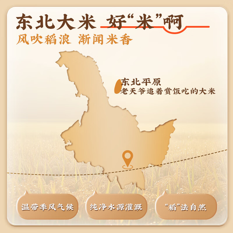 九阳豆浆米乳豆浆粉20条*25g早餐豆浆代餐
