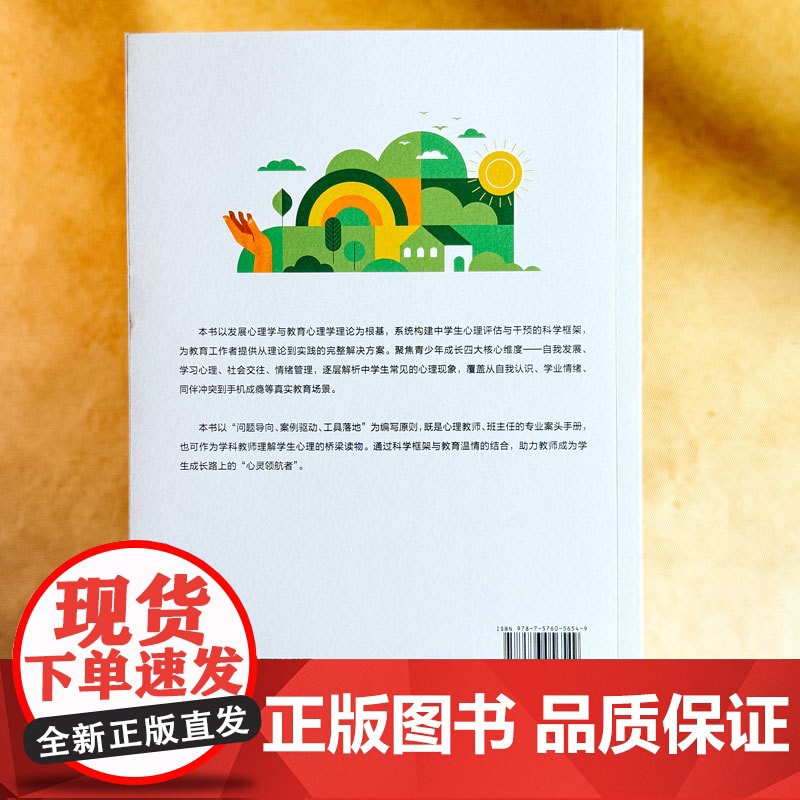 重新从心理解学生 中学生心理评估与干预策略 青少年心理教育 青少年心理教育案头书 华东师范大学出版社高清大图