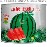 冰糖麒麟王种子西瓜种子早熟脆甜沙瓤多汁大果西瓜籽蔬菜种子四季