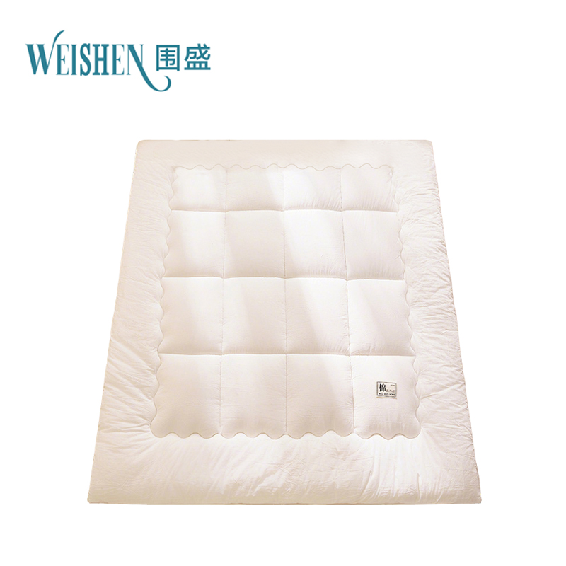 围盛 纯棉软垫 120*200*3cm-4斤白 张高清大图