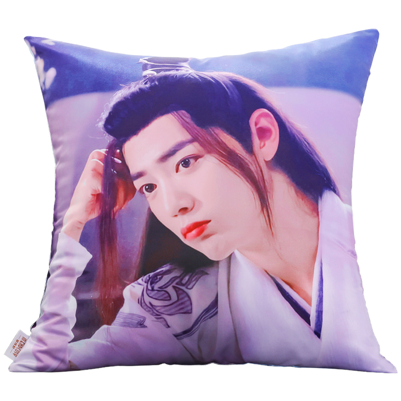 敬平(jing ping)抱枕/腰靠1报价_参数_图片_视频_怎么样_问答-苏宁