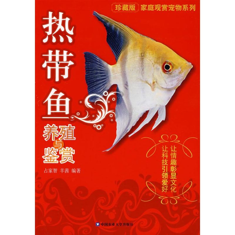 [M]热带鱼养殖与鉴赏-9787811174373高清大图