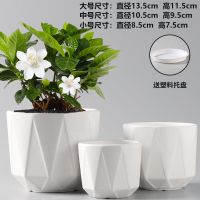 陶瓷花盆批发特价清仓带托盘大号简约北欧欧式白色绿萝小多肉花盆 钻石V型-小套三(送塑料托盘)