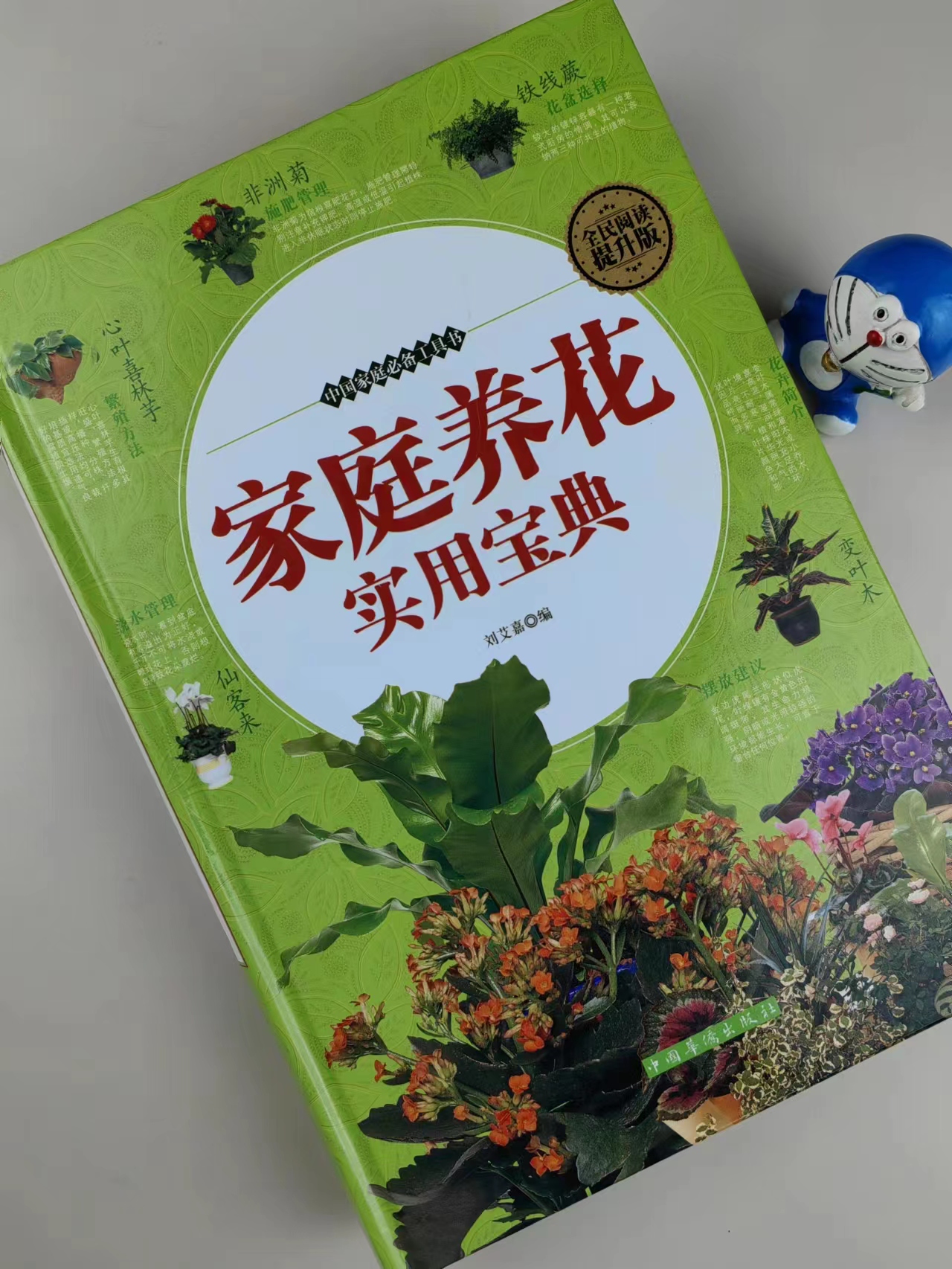 [醉染正版]全民阅读提升版 家庭养花实用宝典 中国家庭备工具书高清大图
