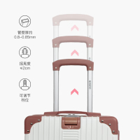 爱登堡(Edenbo)时尚旅行拉杆箱20寸 F337