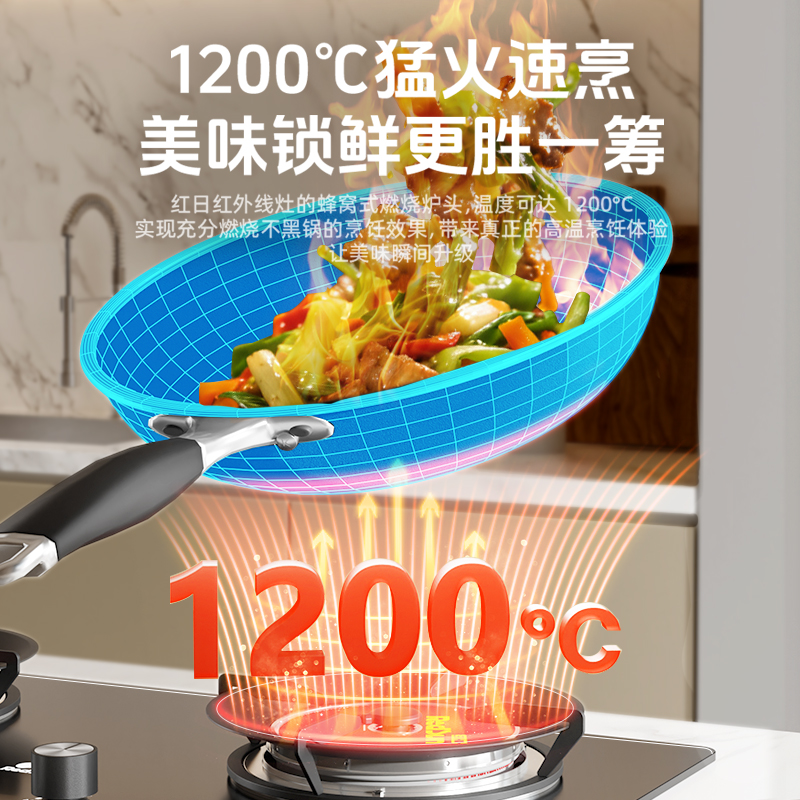 红日(RedSun)家用台嵌两用熄火保护 固定定时 1200℃猛火燃气红外线灶 节能省气灶EX26B液化气高清大图