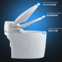 法恩莎卫浴智能马桶全自动遥控感应一体式喷射虹吸式地排智能坐便器FB16105