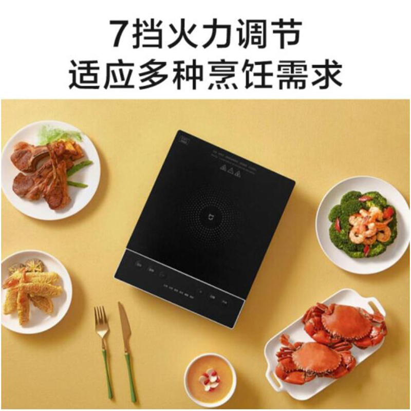 小米（MI）米家电磁炉C1 家用大功率迷你小型多功能火锅电磁炉 米家电磁炉