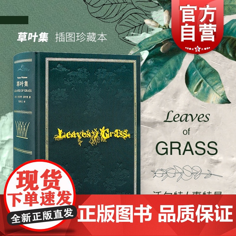 草叶集 精装插图本 沃尔特惠特曼 叛逆者 朱一龙 完美复刻1855版草叶集原版装帧 外国诗歌 美国诗歌 外国文学 上海高清大图