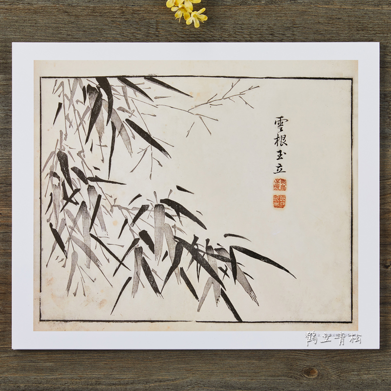 [正版]芥子园画谱康熙原版全彩芥子园画传竹谱册页盒装6开大本单张图册 高清 临摹 装饰 赏析 国画竹子画册清李渔编河北高清大图