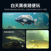 伴车安 探鱼器水下可视高清摄像头锚鱼显示屏夜视水底看鱼器摄像头钓鱼 F13PLUS7寸-30米可录像