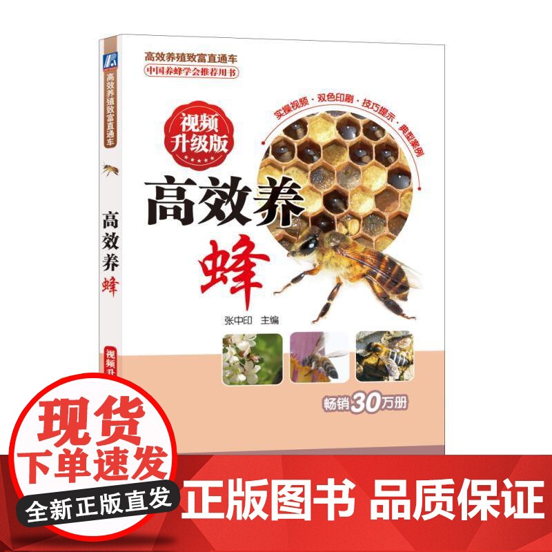 养蜂 视频升级版高清大图